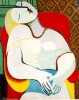 Bức họa của Picasso có giá kỷ lục 3.400 tỉ đồng