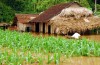Tuyên bố của ASEAN về ứng phó biến đổi khí hậu