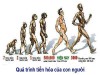 10 sự kiện khoa học nổi bật năm 2009 trên thế giới và Việt Nam