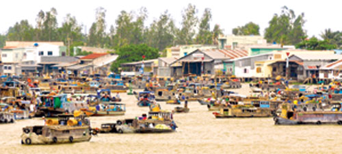 cho-noi
