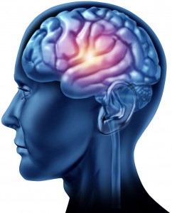 Kích thích vỏ não sẽ giúp tăng cường về trí nhớ