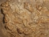 Phát hiện tổ khủng long con ở Mông Cổ