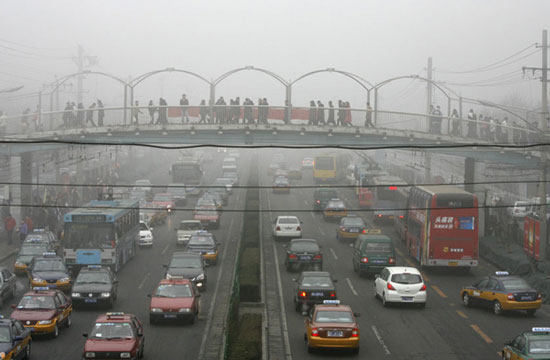 Ô nhiễm không khí liên quan đến giao thông làm suy yếu tế bào trong não, gây rối loạn chức năng. 