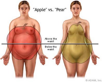 Người dáng quả táo (trái) với lượng mỡ tập trung nhiều ở trên hông. Người dáng quả lê (phải) với lượng mỡ tập trung nhiều dưới hông. Ảnh minh họa: fitternottingham.