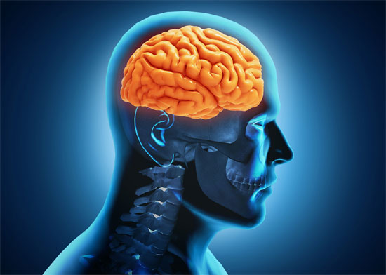 Não thường bị hư hại nặng sau cơn đột quỵ