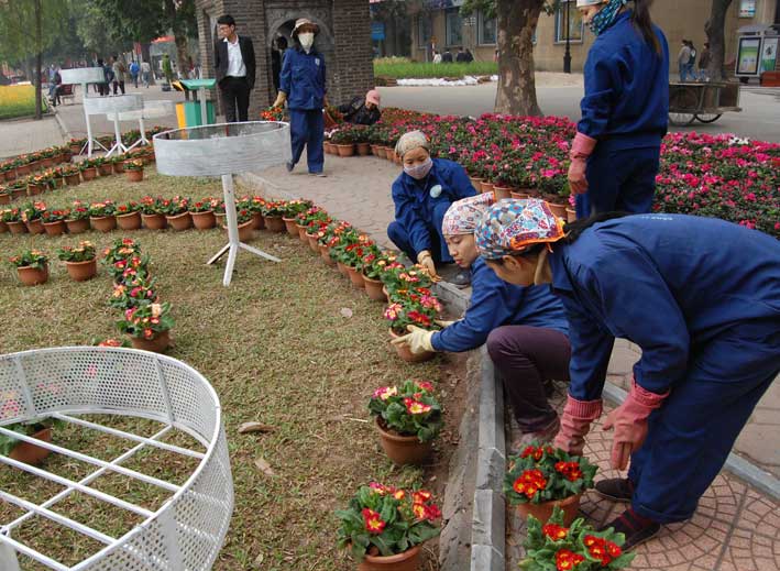 Công nhân của Cty đang trồng hoa