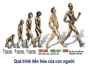 10 sự kiện khoa học nổi bật năm 2009 trên thế giới và Việt Nam